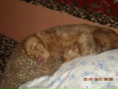 Игорь Горох фотография #8 (источник - https://vk.com/id6322143)