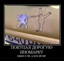 Лана Войтенко фотография #11 (источник - https://vk.com/id139880746)