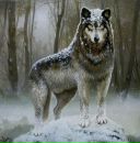 Фотография Energy Baa