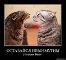 Вікочка Шелемба фотография #28 (источник - https://vk.com/id70260429)