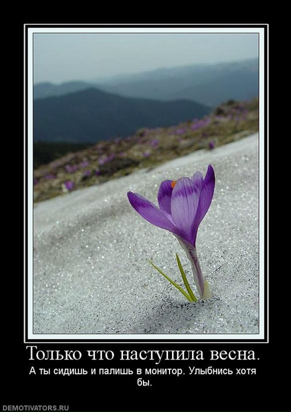 Анастасия Киселёва фотография #30