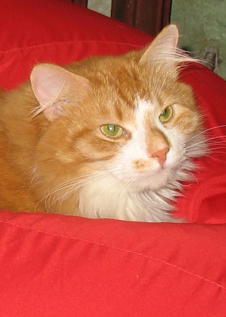 Ivan Ukhov фотография #23