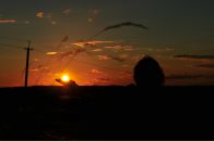 Фотография Ширяевой Галины