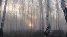 Евгений Серков фотография #31 (источник - https://vk.com/id768784)
