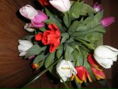 Віка Луць фотография #9 (источник - https://vk.com/id16653485)