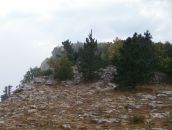 Олександр Алісов фотография #25 (источник - https://vk.com/id11415860)