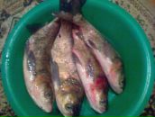 Віталій Лоцко фотография #3 (источник - https://vk.com/id27947505)