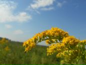 Марія Андрухів фотография #4 (источник - https://vk.com/id36548587)