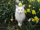 Саша Кошіль фотография #2 (источник - https://vk.com/id75812679)