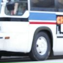 Елена Сальваторе фотография #40 (источник - https://vk.com/id148359394)