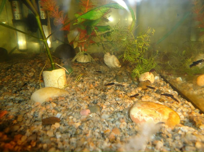 Сергей Шестаков фотография #19