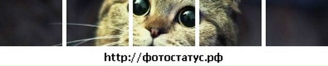 Інна Карча фотография #20 (источник - https://vk.com/id75144847)