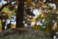 Фотография Katchen Kat