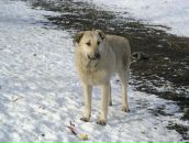 Фотография Леонтьевой Елены