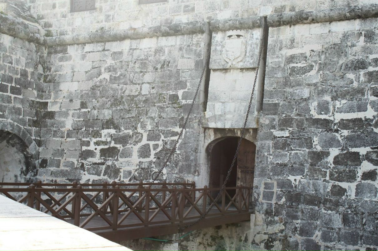 Александр Закатаев фотография #31