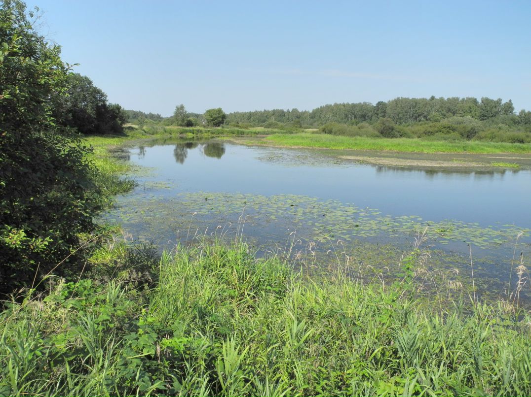 Илья Маслов фотография #43