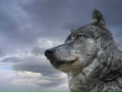 Фотография Лыковой Марины