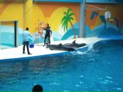 Murat Uzun фотография #17 (источник - https://vk.com/id1846906)