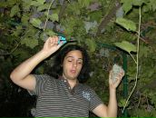 Фотография Малёваного Николя