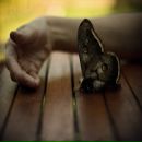 Фотография Красотки Ксю