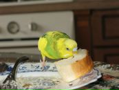 Kirill _| фотография #28 (источник - https://vk.com/id97007344)