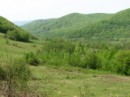 Наталія Павлишин фотография #27 (источник - https://vk.com/id77165000)