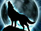 Фотография Налбандяна Тиграна