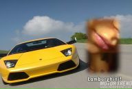 Фотография Середовой Аллочки