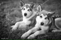 Фотография Четвериковой Екатерины