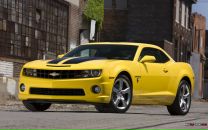 Фотография Костиковой Светланы