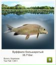 Андрій Кирилич фотография #43 (источник - https://vk.com/id72602419)