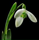 Фотография Батагова Владимира