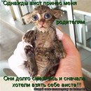 Фотография Позгаловой Юлии