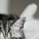 Наталія Олійник фотография #12 (источник - https://vk.com/id85387598)