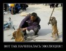 Білогаш Сергій фотография #12 (источник - https://vk.com/id32135284)