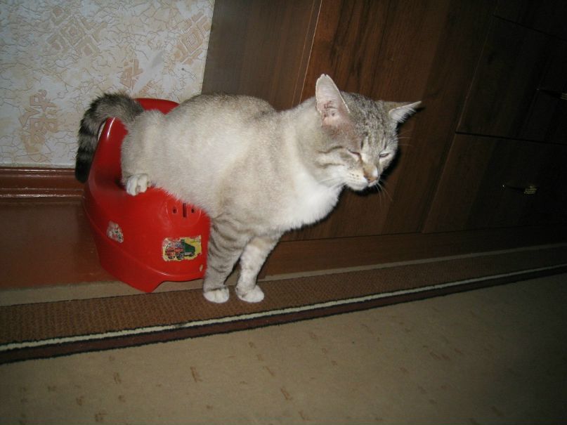 Дмитрий Билык фотография #18