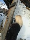 Таня Дацій фотография #14 (источник - https://vk.com/id61695319)