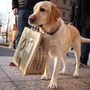 Анастасія Малиновська фотография #4 (источник - https://vk.com/id166130708)