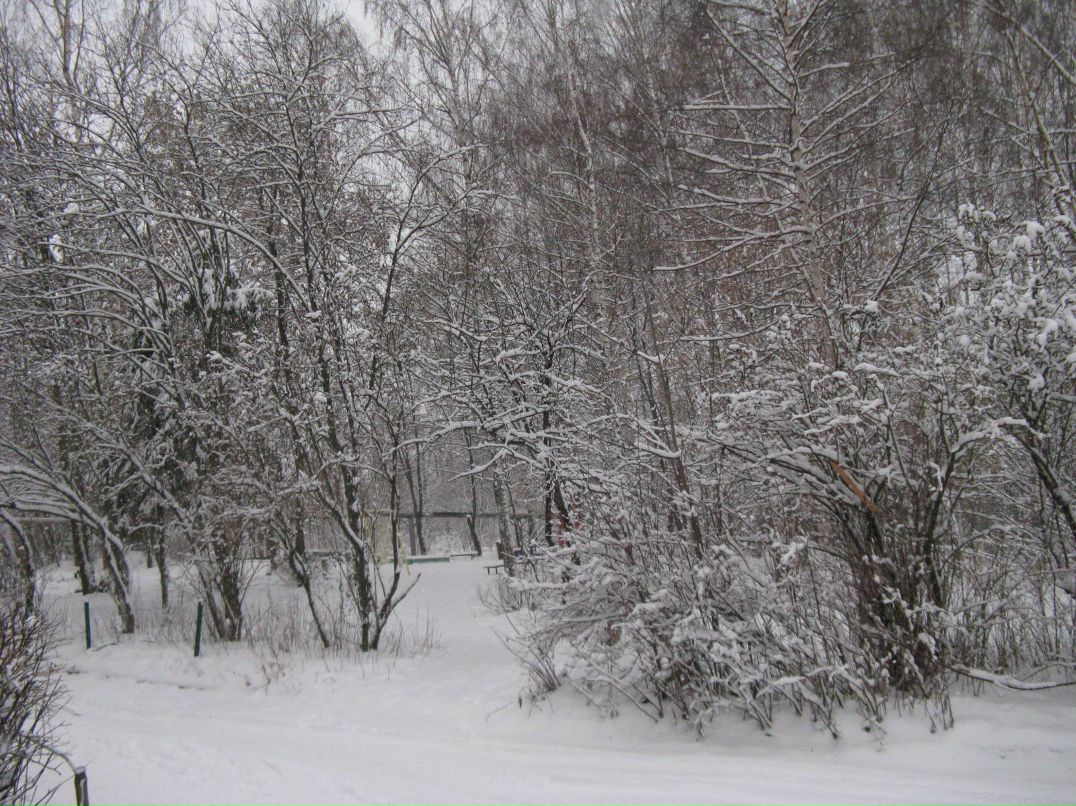 Мария Бильчук фотография #16