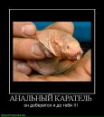 Євген Демчук фотография #32 (источник - https://vk.com/id30404532)