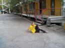 Сашенька Комісарова фотография #28 (источник - https://vk.com/id61518713)