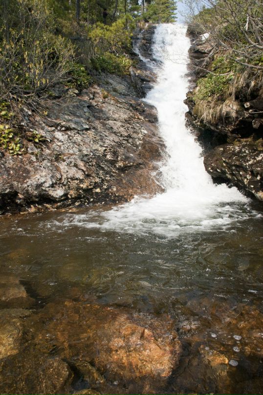 Николай Симоненко фотография #29