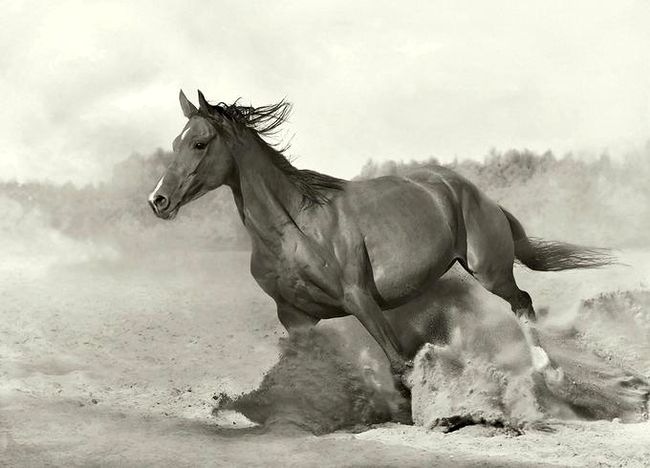 Дима Яковлев фотография #3