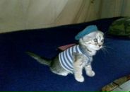 Фотография Иванкина Димы