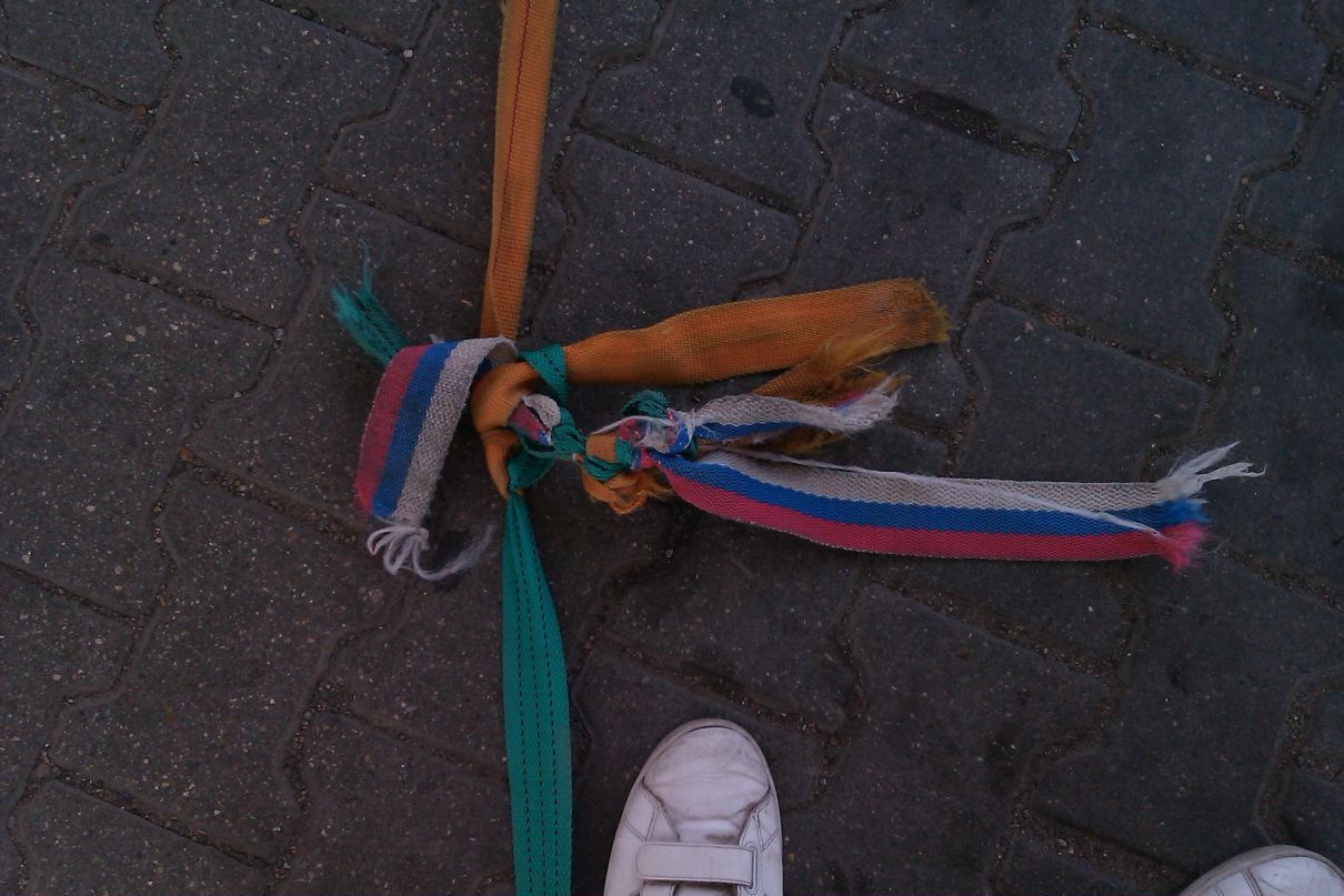 Антон Постников фотография #2