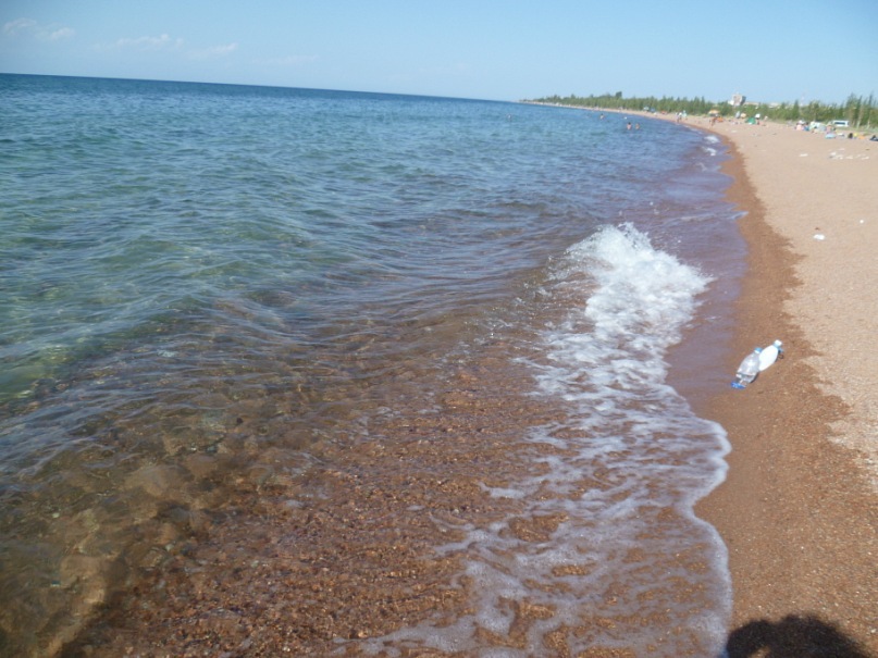 Максим Плотников фотография #45