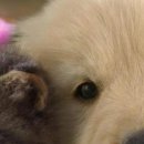 Василина Ходовіцька фотография #37 (источник - https://vk.com/id61334995)