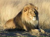 Юрій Кіраль фотография #20 (источник - https://vk.com/id22913482)