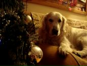 Фотография Долговой Екатерины