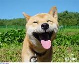 Вітя Волошин фотография #21 (источник - https://vk.com/id16090746)